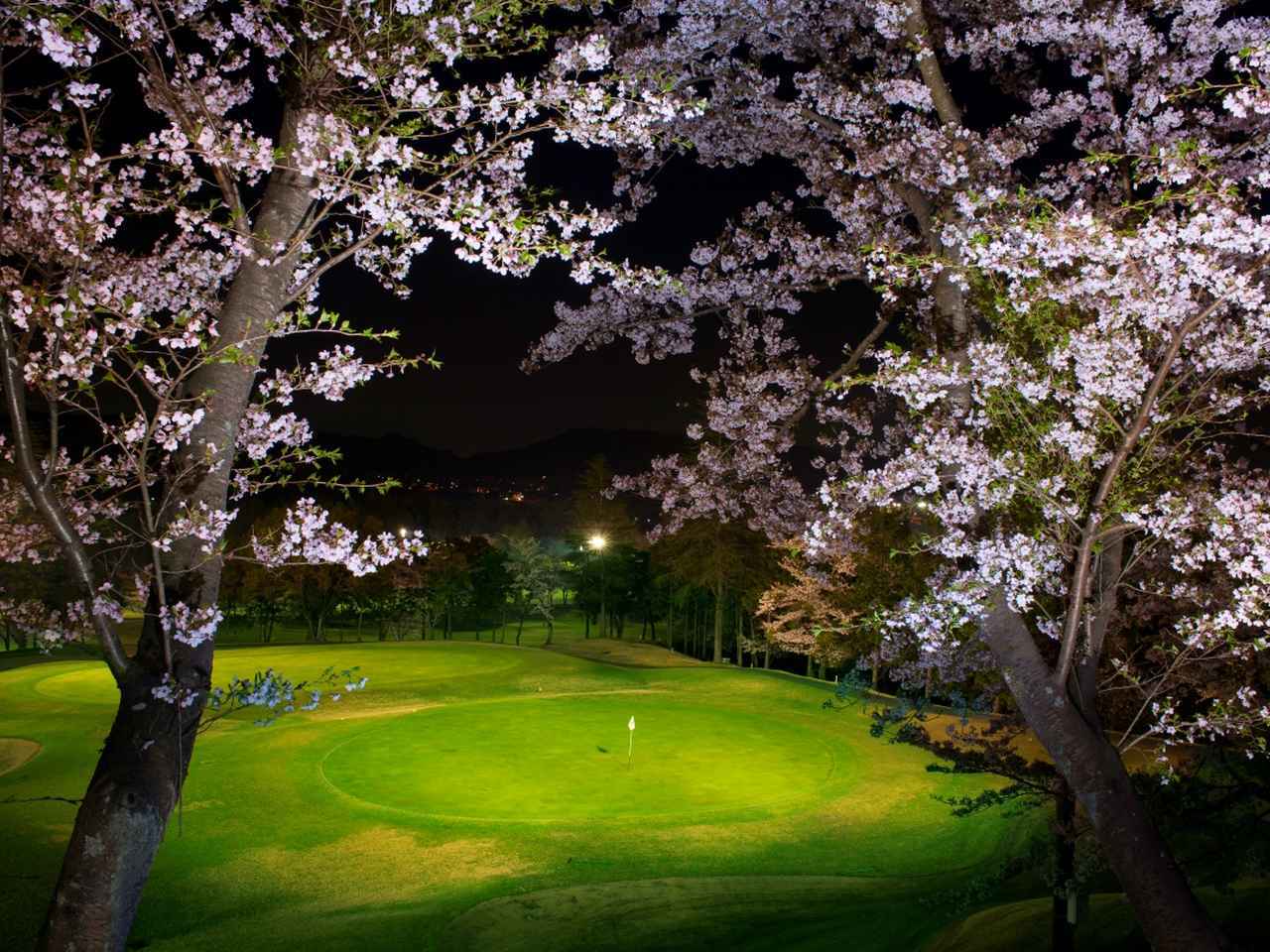花見ゴルフを楽しみましょう